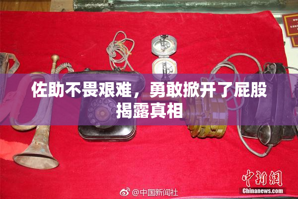 佐助不畏艰难，勇敢掀开了屁股揭露真相