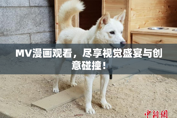 MV漫画观看，尽享视觉盛宴与创意碰撞！