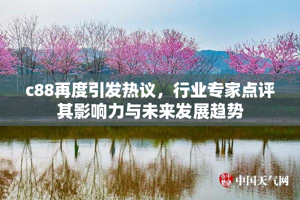 c88再度引发热议，行业专家点评其影响力与未来发展趋势
