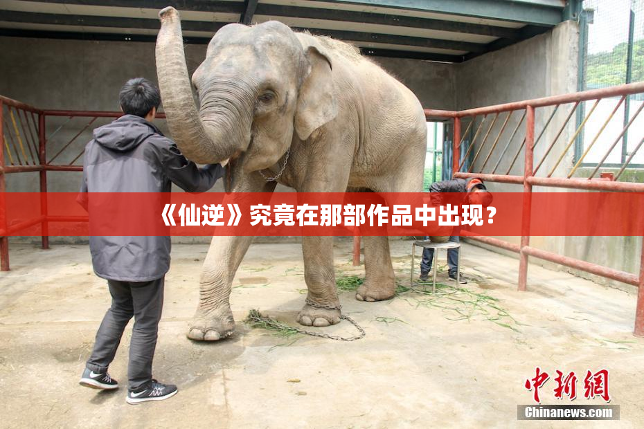 《仙逆》究竟在那部作品中出现？