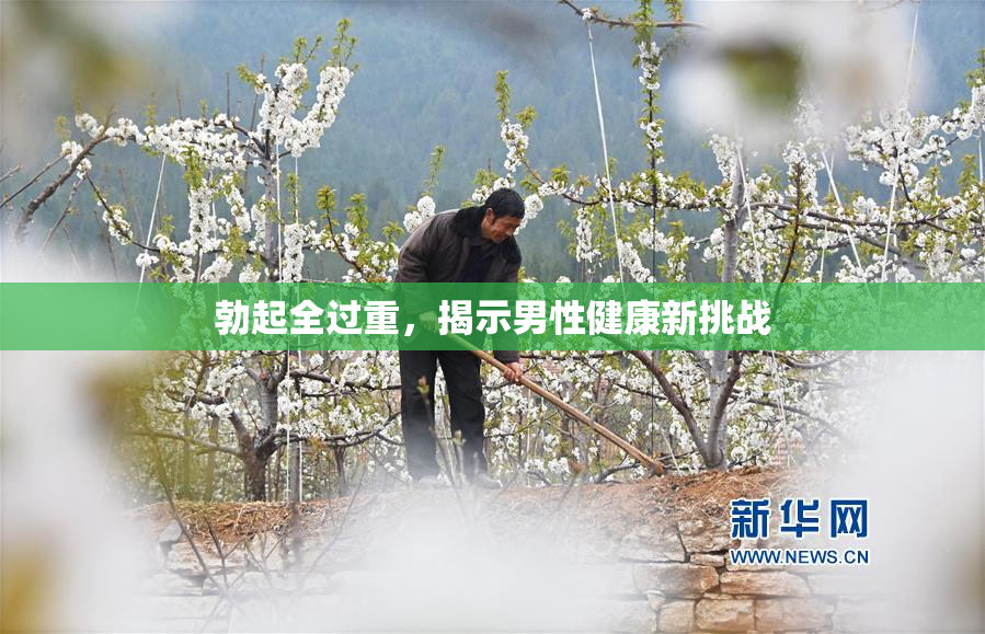 勃起全过重，揭示男性健康新挑战
