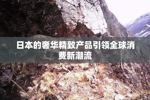 日本的奢华精致产品引领全球消费新潮流