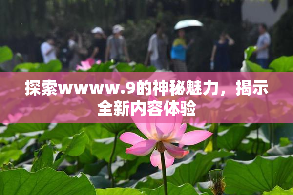 探索wwww.9的神秘魅力，揭示全新内容体验