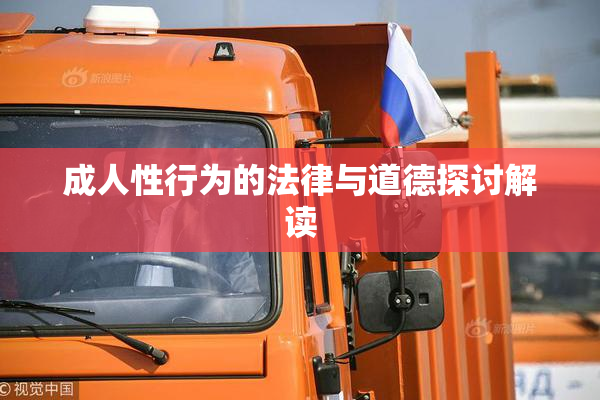 成人性行为的法律与道德探讨解读