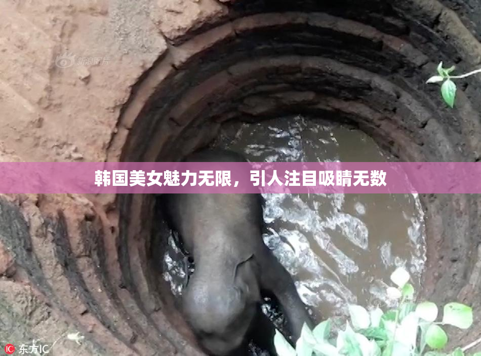 韩国美女魅力无限，引人注目吸睛无数