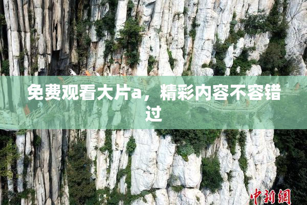 免费观看大片a，精彩内容不容错过
