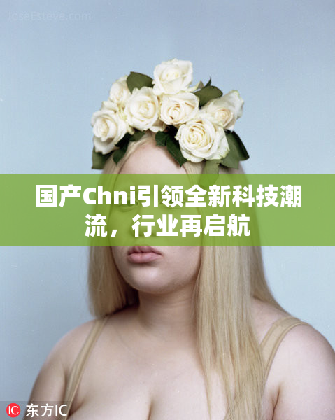 国产Chni引领全新科技潮流，行业再启航