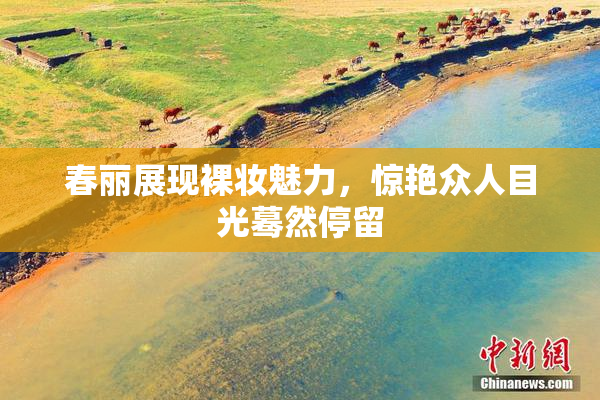 春丽展现裸妆魅力，惊艳众人目光蓦然停留