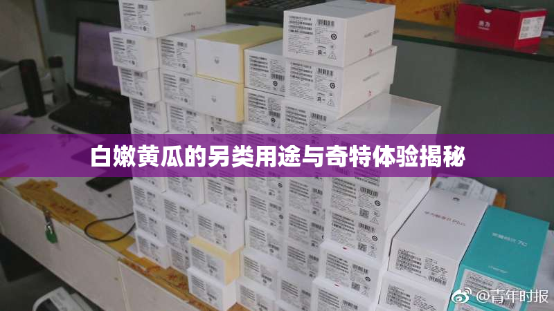白嫩黄瓜的另类用途与奇特体验揭秘