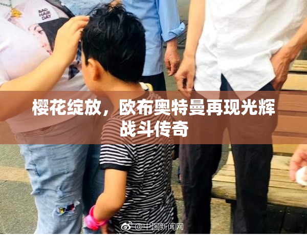 樱花绽放，欧布奥特曼再现光辉战斗传奇