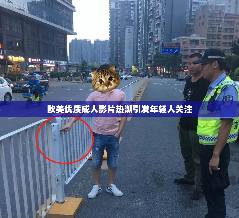欧美优质成人影片热潮引发年轻人关注