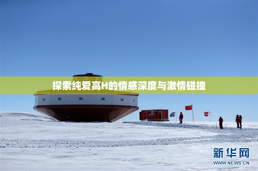 探索纯爱高H的情感深度与激情碰撞