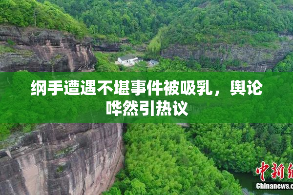 纲手遭遇不堪事件被吸乳，舆论哗然引热议