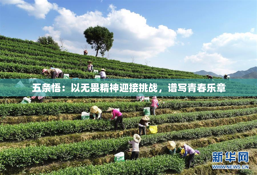 五条悟：以无畏精神迎接挑战，谱写青春乐章