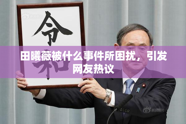 田曦薇被什么事件所困扰，引发网友热议