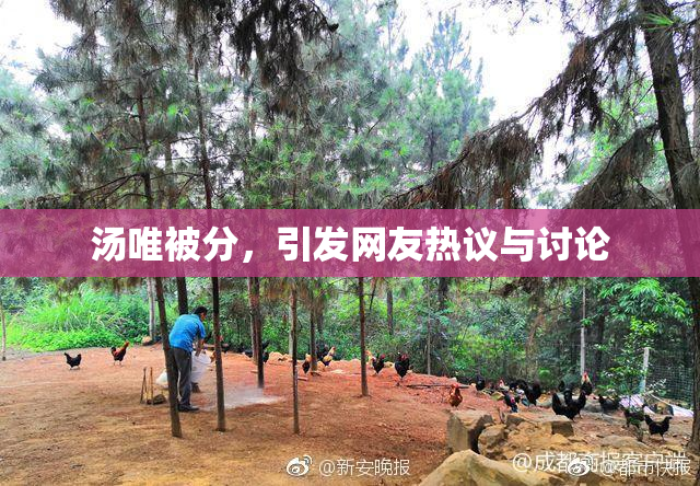 汤唯被分，引发网友热议与讨论