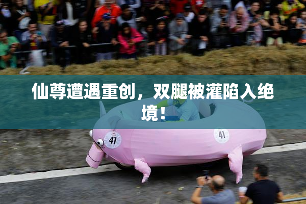 仙尊遭遇重创，双腿被灌陷入绝境！