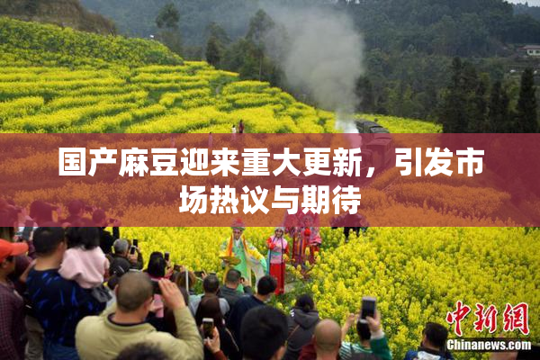国产麻豆迎来重大更新，引发市场热议与期待