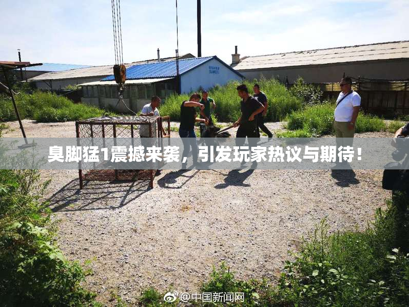 臭脚猛1震撼来袭，引发玩家热议与期待！