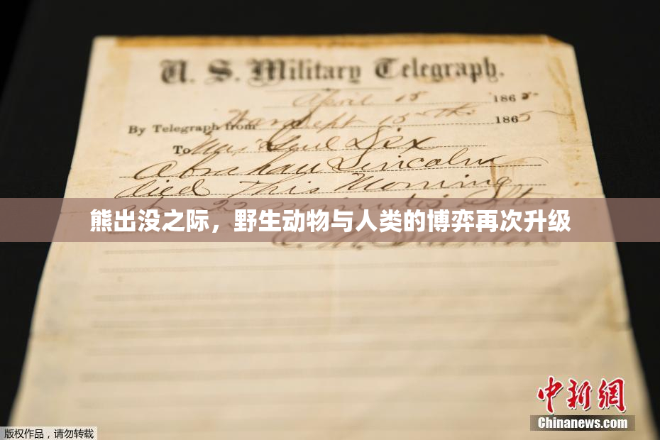 熊出没之际，野生动物与人类的博弈再次升级