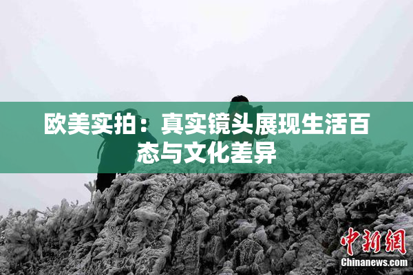 欧美实拍：真实镜头展现生活百态与文化差异