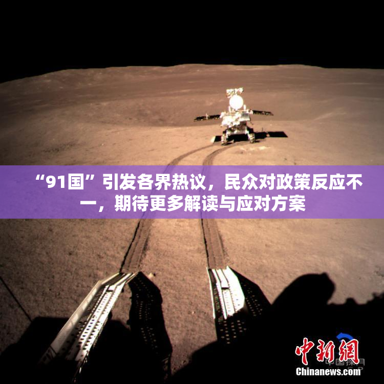 “91国”引发各界热议，民众对政策反应不一，期待更多解读与应对方案