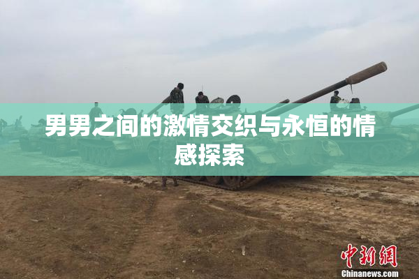 男男之间的激情交织与永恒的情感探索