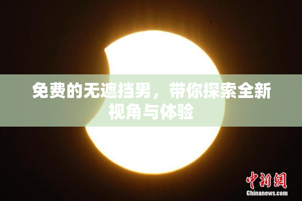 免费的无遮挡男，带你探索全新视角与体验