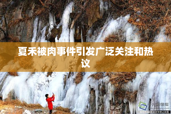 夏禾被肉事件引发广泛关注和热议