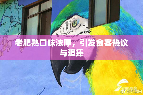 老肥熟口味浓厚，引发食客热议与追捧