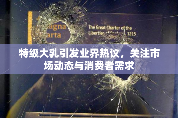 特级大乳引发业界热议，关注市场动态与消费者需求