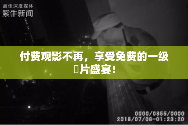 付费观影不再，享受免费的一级婬片盛宴！
