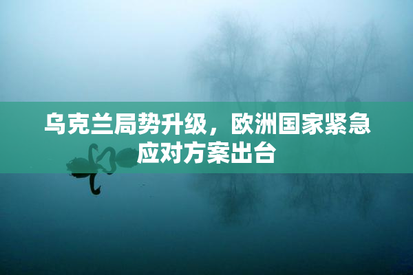 乌克兰局势升级，欧洲国家紧急应对方案出台