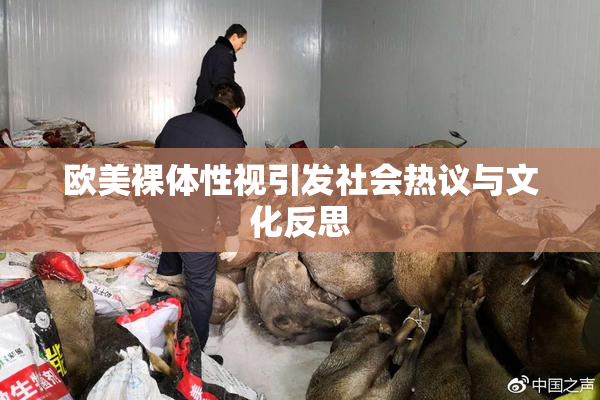 欧美裸体性视引发社会热议与文化反思