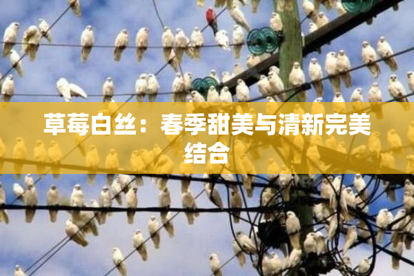 草莓白丝：春季甜美与清新完美结合