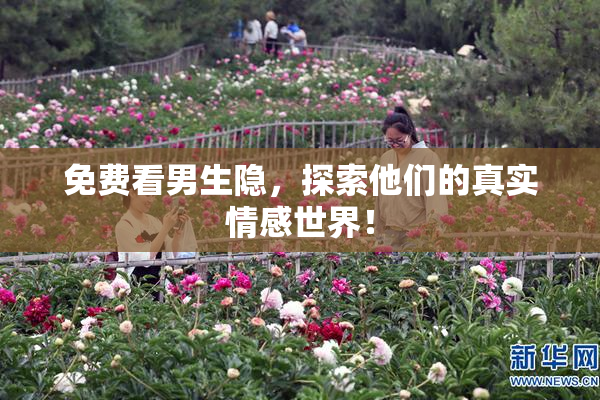 免费看男生隐，探索他们的真实情感世界！