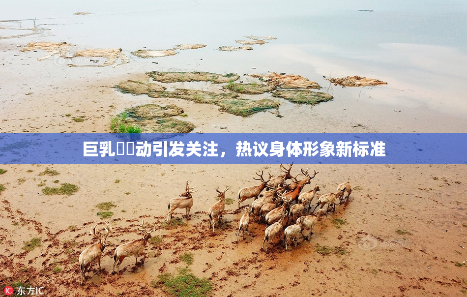 巨乳❌‌动引发关注，热议身体形象新标准