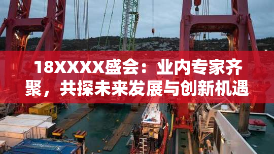 18XXXX盛会：业内专家齐聚，共探未来发展与创新机遇