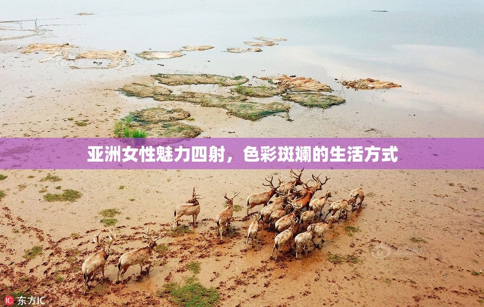 亚洲女性魅力四射，色彩斑斓的生活方式