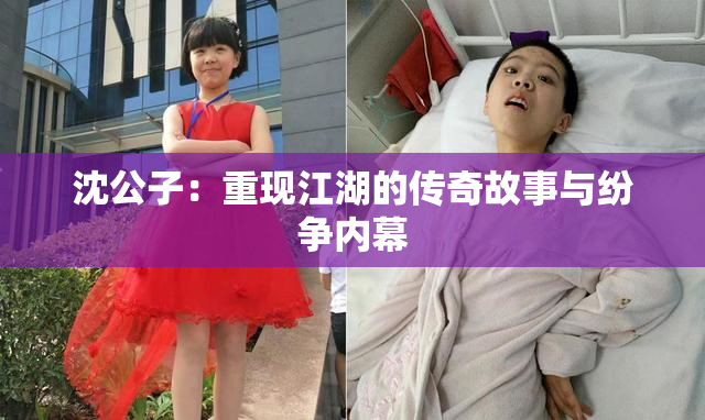 沈公子：重现江湖的传奇故事与纷争内幕