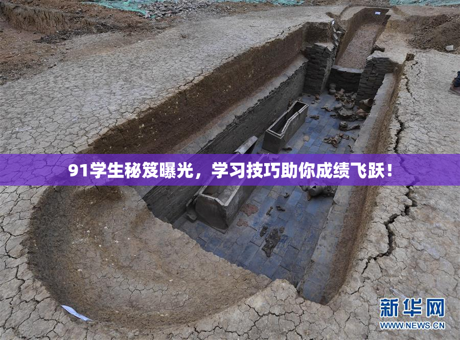 91学生秘笈曝光，学习技巧助你成绩飞跃！
