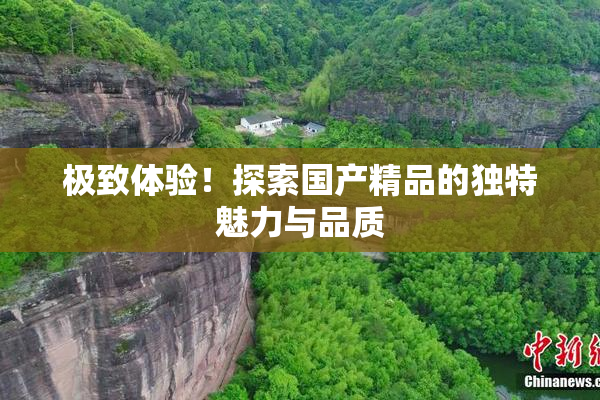 极致体验！探索国产精品的独特魅力与品质