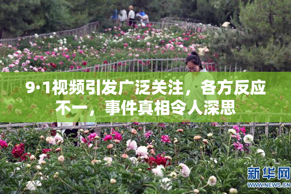 9·1视频引发广泛关注，各方反应不一，事件真相令人深思