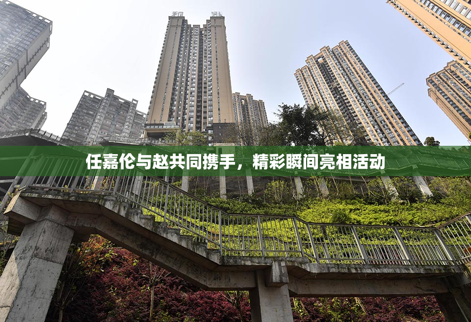 任嘉伦与赵共同携手，精彩瞬间亮相活动
