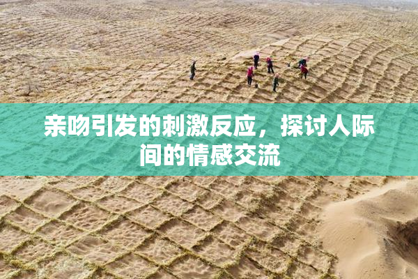 亲吻引发的刺激反应，探讨人际间的情感交流
