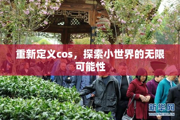 重新定义cos，探索小世界的无限可能性