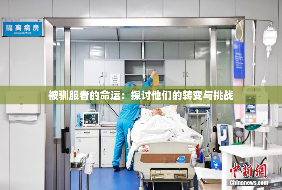 被驯服者的命运：探讨他们的转变与挑战