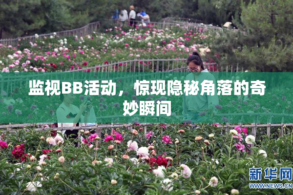 监视BB活动，惊现隐秘角落的奇妙瞬间