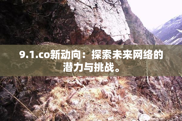 9.1.co新动向：探索未来网络的潜力与挑战。