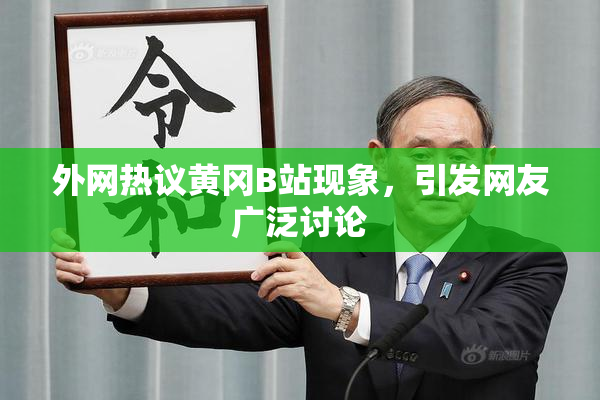 外网热议黄冈B站现象，引发网友广泛讨论